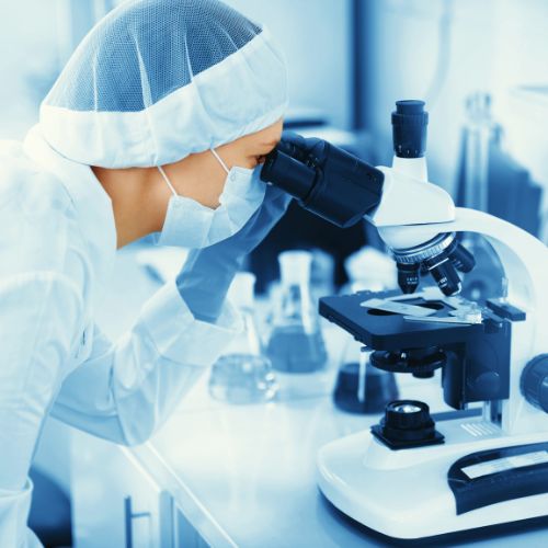 【研究成果】熊本大学医学部との共同研究論文が掲載されました｜あさぎりたもぎ茸の有用性検証