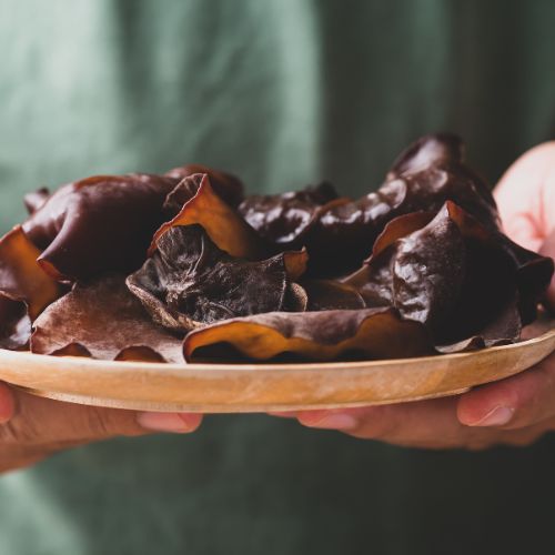 【テレビ効果すごい】NHK「あさイチ」でキノコ特集 → きくらげ栽培キットの注文が急増！